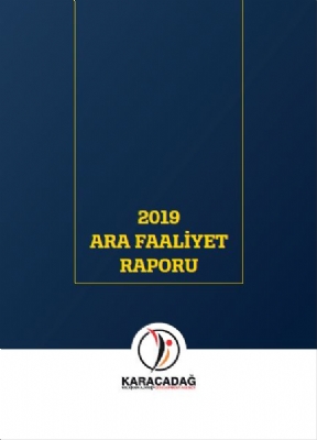 2019 Yılı Ara Faaliyet Raporu