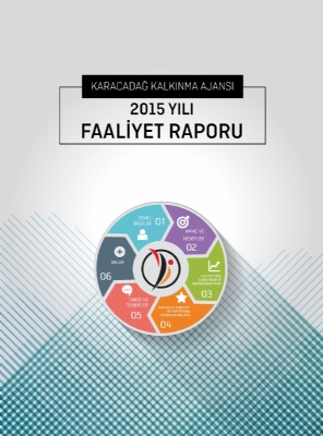 2015 Yılı Faaliyet Raporu