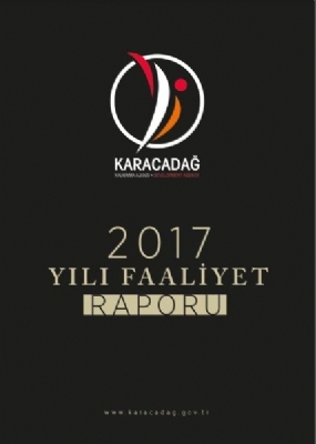 2017 Yılı Faaliyet Raporu